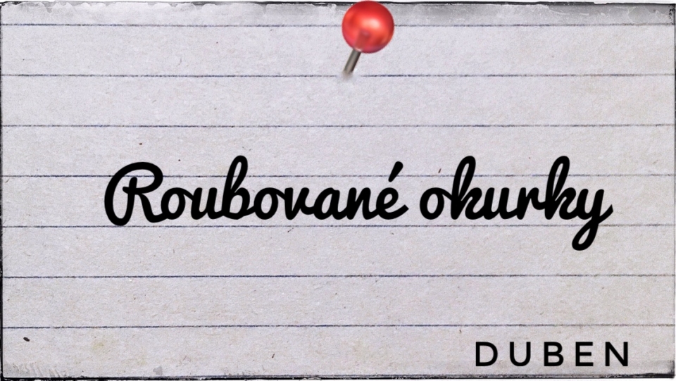 Roubovan okurky - polovina dubna